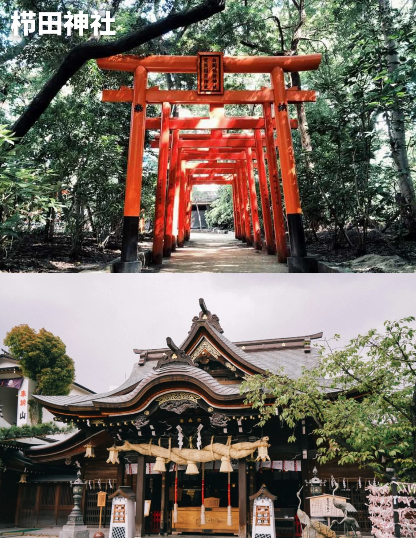 福冈9大景点领略地道日式风情